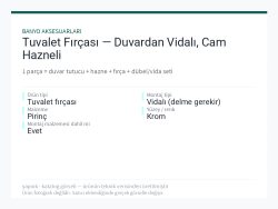 Tuvalet Fırçası — Duvardan Vidalı, Cam Hazneli