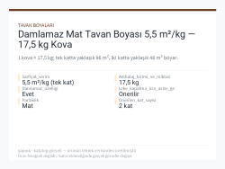 Damlamaz Mat Tavan Boyası 5,5 m²/kg — 17,5 kg Kova