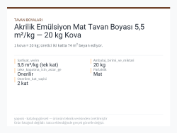 Akrilik Emülsiyon Mat Tavan Boyası 5,5 m²/kg — 20 kg Kova