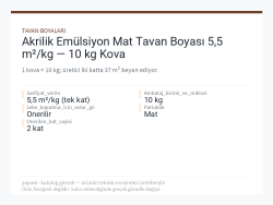 Akrilik Emülsiyon Mat Tavan Boyası 5,5 m²/kg — 10 kg Kova