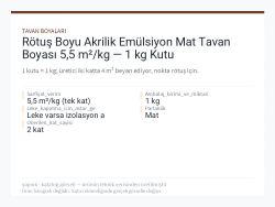 Rötuş Boyu Akrilik Emülsiyon Mat Tavan Boyası 5,5 m²/kg — 1 kg Kutu