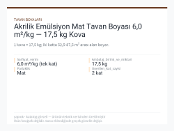 Akrilik Emülsiyon Mat Tavan Boyası 6,0 m²/kg — 17,5 kg Kova