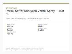 Parlak Şeffaf Koruyucu Vernik Sprey — 400 ml