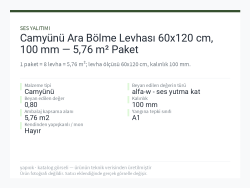 Camyünü Ara Bölme Levhası 60x120 cm, 100 mm — 5,76 m² Paket