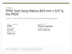 PPRC Dişli Geçiş Rakoru Ø25 mm × 3/4" İç Diş PN20