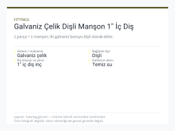 Galvaniz Çelik Dişli Manşon 1" İç Diş