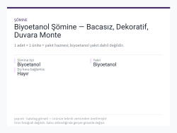 Biyoetanol Şömine — Bacasız, Dekoratif, Duvara Monte