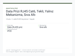 Data Prizi RJ45 Cat6, Tekli, Yalnız Mekanizma, Sıva Altı