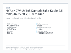 NYA (H07V-U) Tek Damarlı Bakır Kablo 2,5 mm², 450/750 V, 100 m Rulo