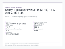 Sanayi Tipi Duvar Prizi 3 Pin (2P+E) 16 A 230 V, 6h, IP44