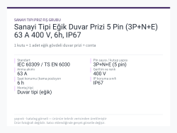 Sanayi Tipi Eğik Duvar Prizi 5 Pin (3P+N+E) 63 A 400 V, 6h, IP67
