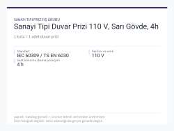 Sanayi Tipi Duvar Prizi 110 V, Sarı Gövde, 4h