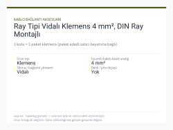 Ray Tipi Vidalı Klemens 4 mm², DIN Ray Montajlı