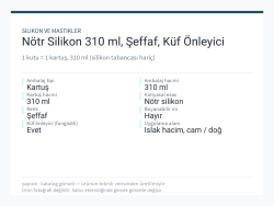 Nötr Silikon 310 ml, Şeffaf, Küf Önleyici
