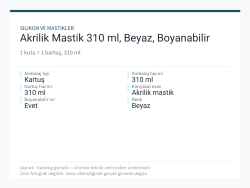 Akrilik Mastik 310 ml, Beyaz, Boyanabilir