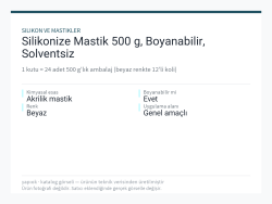 Silikonize Mastik 500 g, Boyanabilir, Solventsiz