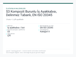 S3 Kompozit Burunlu İş Ayakkabısı, Delinmez Tabanlı, EN ISO 20345