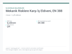 Mekanik Risklere Karşı İş Eldiveni, EN 388