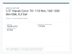 1/2" Havalı Cırcır 70–110 Nm, 160–200 dev/dak, 6,3 bar