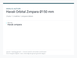 Havalı Orbital Zımpara Ø150 mm