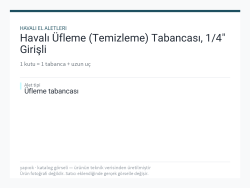 Havalı Üfleme (Temizleme) Tabancası, 1/4" Girişli