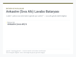 Ankastre (Sıva Altı) Lavabo Bataryası