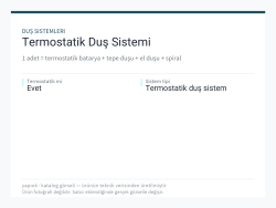 Termostatik Duş Sistemi