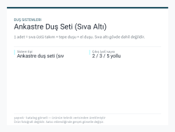 Ankastre Duş Seti (Sıva Altı)