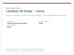 Lavabolu Alt Dolap — Asma