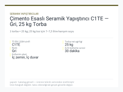 Çimento Esaslı Seramik Yapıştırıcı C1TE — Gri, 25 kg Torba