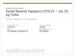 Esnek Seramik Yapıştırıcı C2TE S1 — Gri, 25 kg Torba