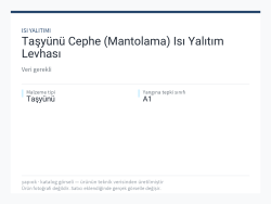 Taşyünü Cephe (Mantolama) Isı Yalıtım Levhası