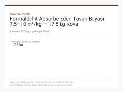 Formaldehit Absorbe Eden Tavan Boyası 7,5–10 m²/kg — 17,5 kg Kova
