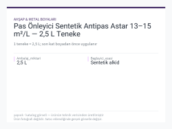 Pas Önleyici Sentetik Antipas Astar 13–15 m²/L — 2,5 L Teneke