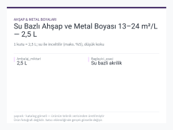 Su Bazlı Ahşap ve Metal Boyası 13–24 m²/L — 2,5 L