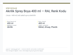 Akrilik Sprey Boya 400 ml — RAL Renk Kodu