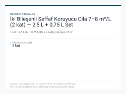 İki Bileşenli Şeffaf Koruyucu Cila 7–8 m²/L (2 kat) — 2,5 L + 0,75 L Set