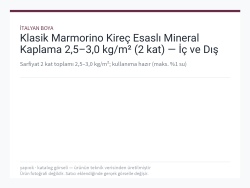 Klasik Marmorino Kireç Esaslı Mineral Kaplama 2,5–3,0 kg/m² (2 kat) — İç ve Dış