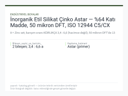İnorganik Etil Silikat Çinko Astar — %64 Katı Madde, 50 mikron DFT, ISO 12944 C5/CX
