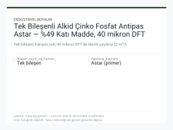Tek Bileşenli Alkid Çinko Fosfat Antipas Astar — %49 Katı Madde, 40 mikron DFT