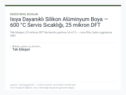 Isıya Dayanıklı Silikon Alüminyum Boya — 600 °C Servis Sıcaklığı, 25 mikron DFT