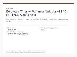 Selülozik Tiner — Parlama Noktası −11 °C, UN 1263 ADR Sınıf 3