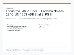 Endüstriyel Alkid Tiner — Parlama Noktası 28 °C, UN 1263 ADR Sınıf 3, PG III