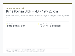 Bims Pomza Blok — 40 × 19 × 20 cm