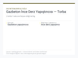 Gazbeton İnce Derz Yapıştırıcısı — Torba