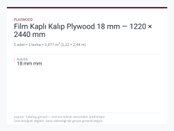 Film Kaplı Kalıp Plywood 18 mm — 1220 × 2440 mm