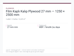 Film Kaplı Kalıp Plywood 27 mm — 1250 × 2500 mm