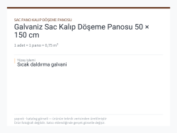 Galvaniz Sac Kalıp Döşeme Panosu 50 × 150 cm