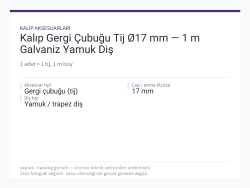 Kalıp Gergi Çubuğu Tij Ø17 mm — 1 m Galvaniz Yamuk Diş