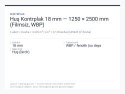 Huş Kontrplak 18 mm — 1250 × 2500 mm (Filmsiz, WBP)